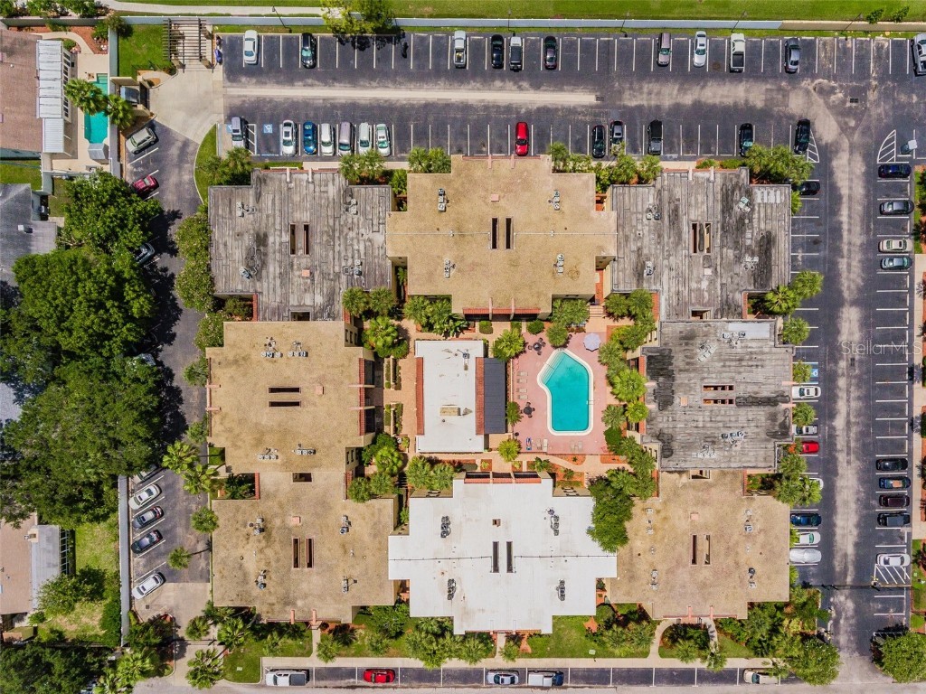 5306 Santa Rosa Court #342 Tampa FL 33609 T3536209 image36