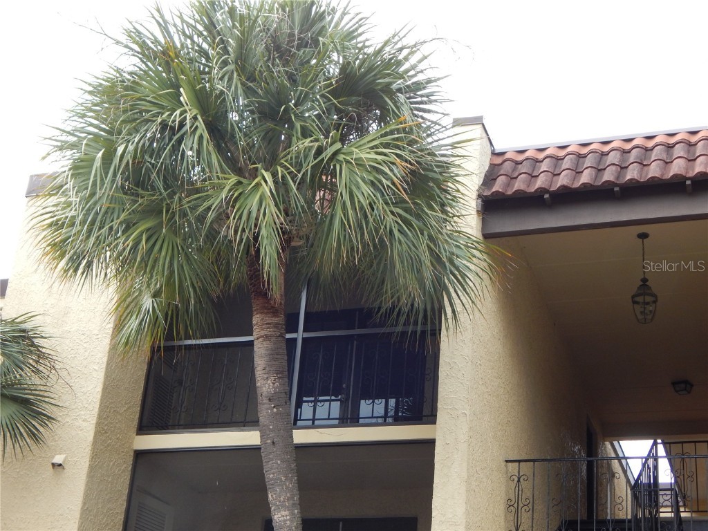 5306 Santa Rosa Court #342 Tampa FL 33609 T3536209 image4