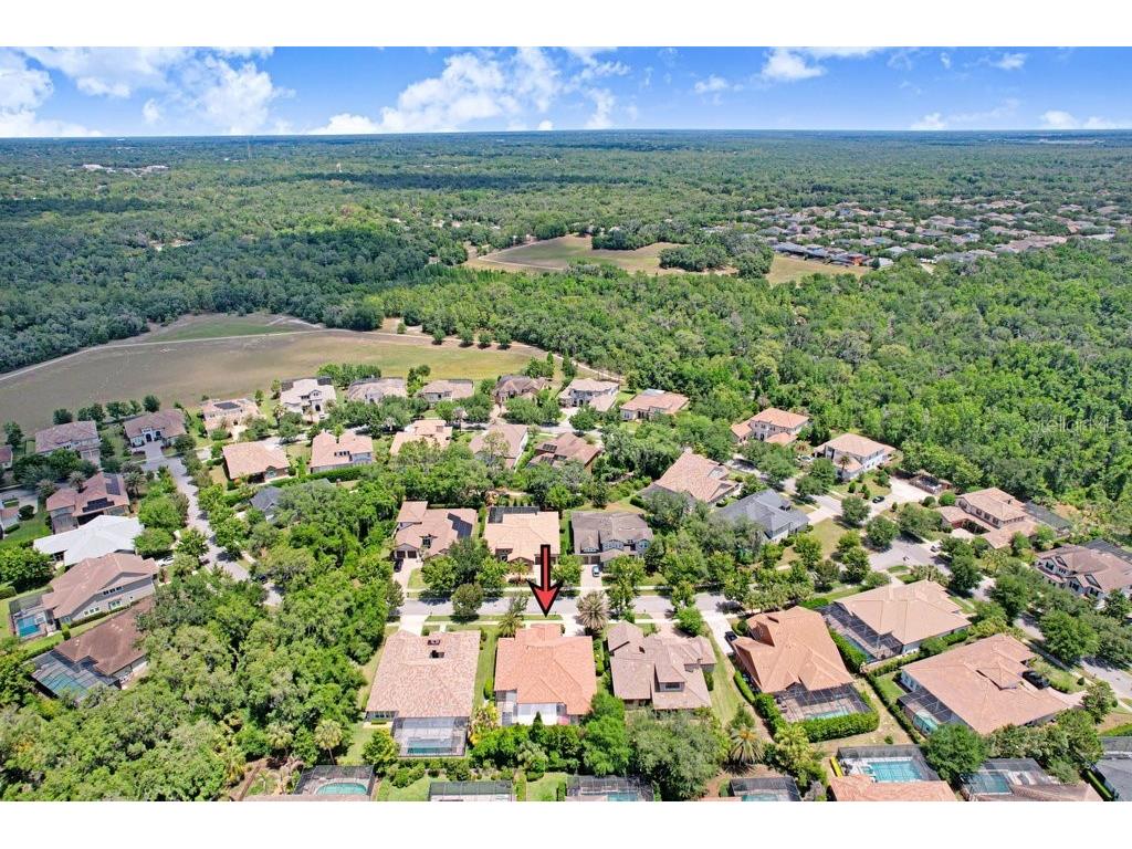 5307 Granite Ridge Drive Lithia FL 33547 TB8503201 image55