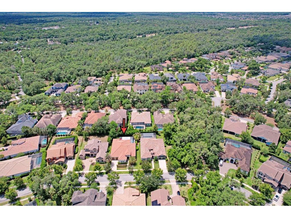 5307 Granite Ridge Drive Lithia FL 33547 TB8503201 image56