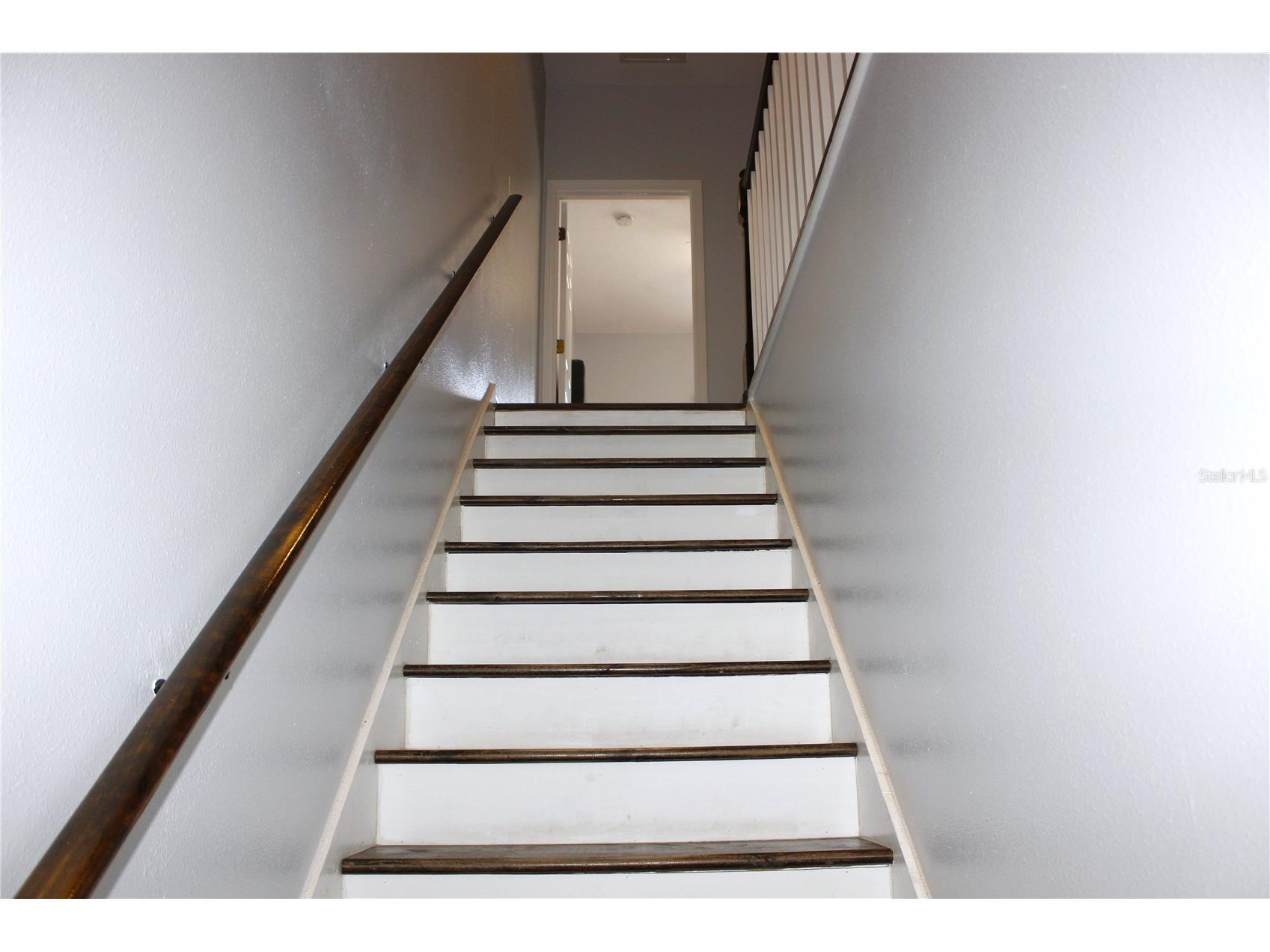 5307 Terraza Court Temple Terrace FL 33617 TB8505511 image8