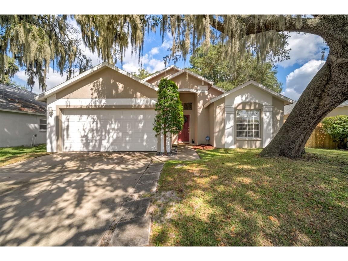 5307 Watson Road Riverview FL 33578 T3336367 image1