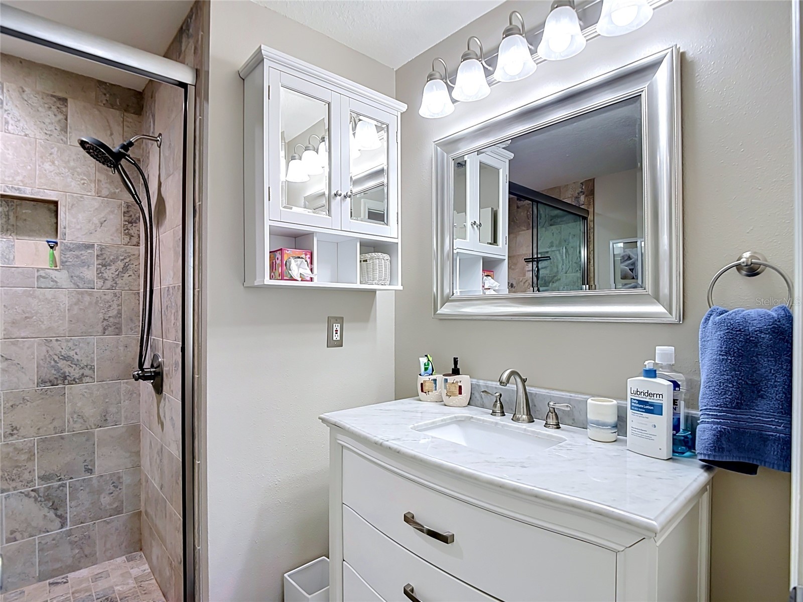 5308 Bay Club Circle #5308 Tampa FL 33607 TB8513457 image25