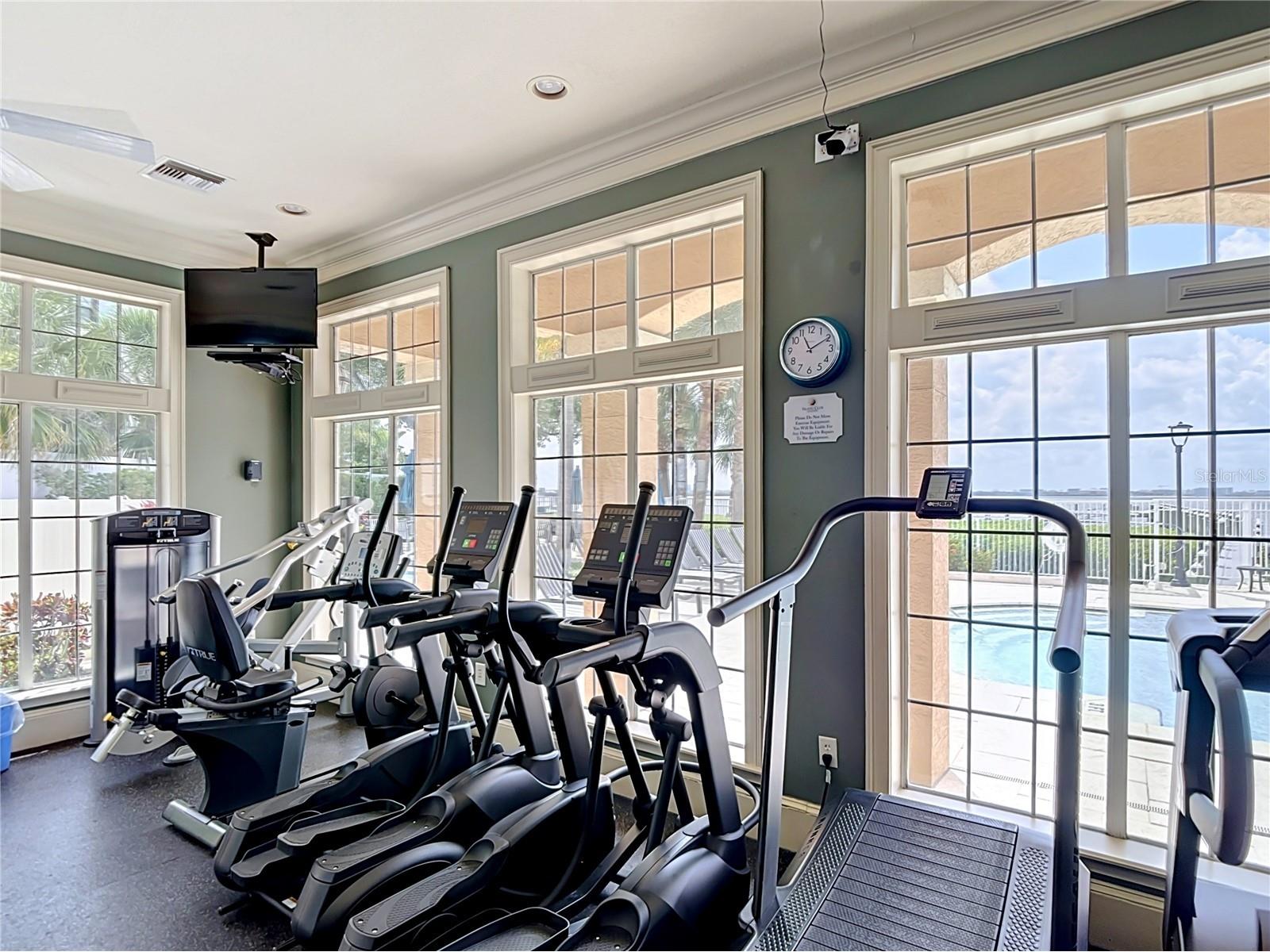 5308 Bay Club Circle #5308 Tampa FL 33607 TB8513457 image48