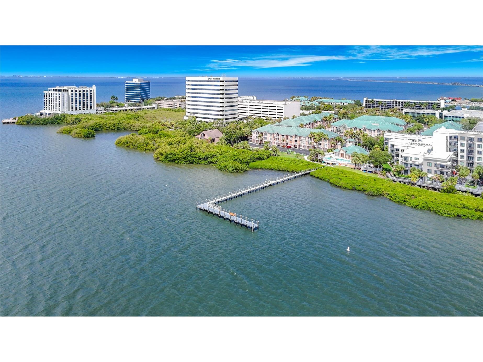 5308 Bay Club Circle #5308 Tampa FL 33607 TB8513457 image58