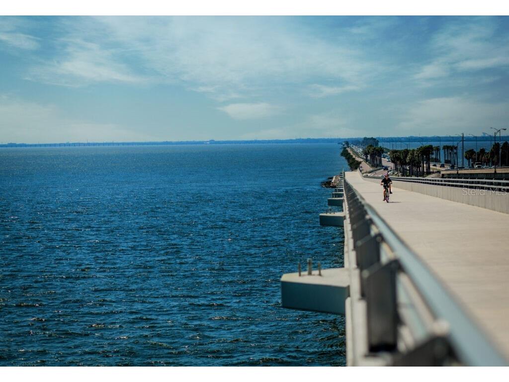 5308 Bay Club Circle #5308 Tampa FL 33607 TB8513457 image60