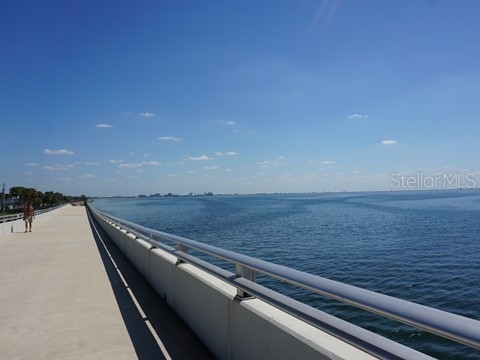 5308 Bay Club Circle #5308 Tampa FL 33607 TB8513457 image61