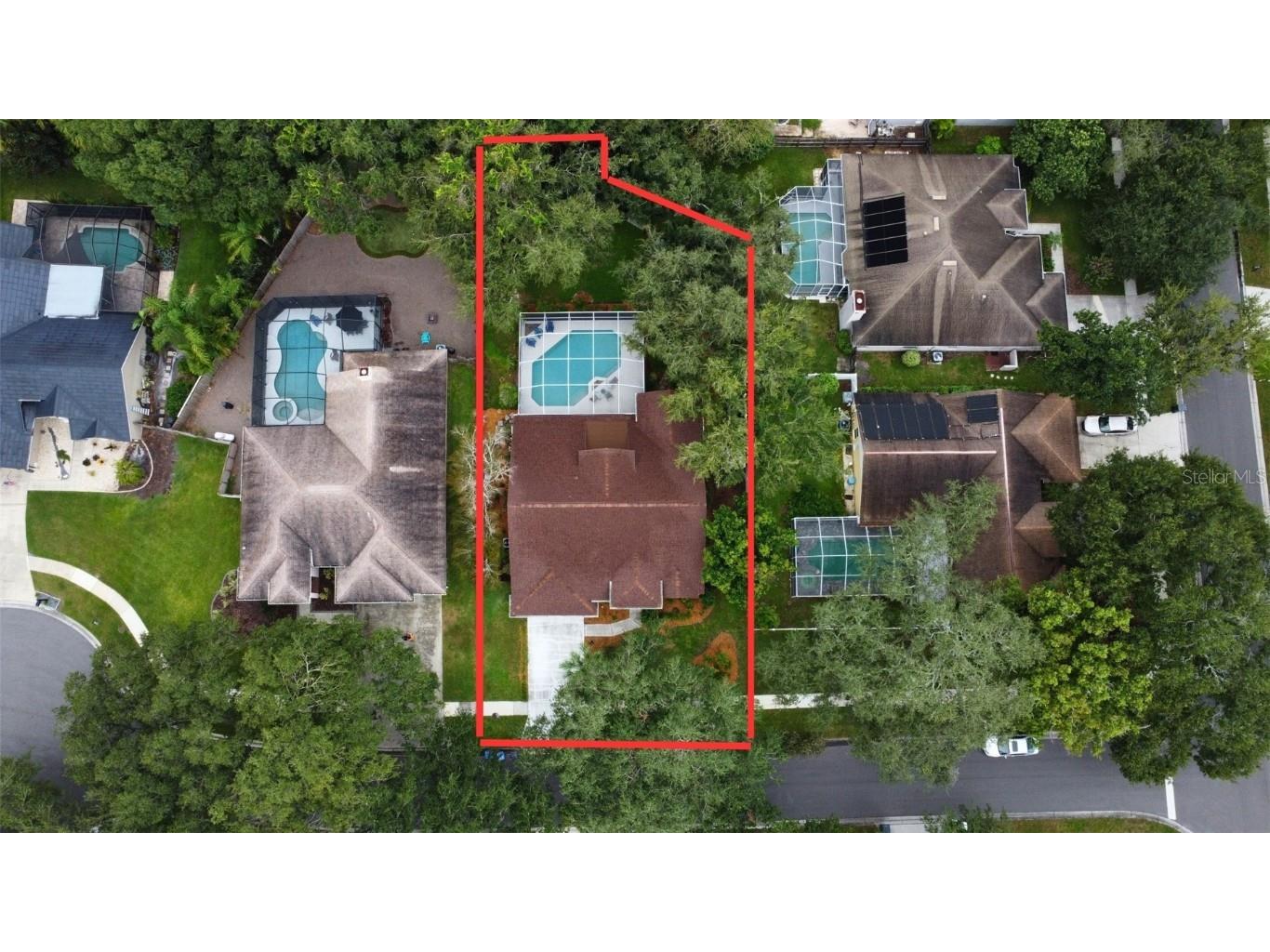 5308 Windbrush Drive Tampa FL 33625 TB8425301 image3