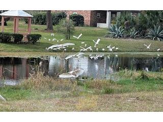 5309 County Road 114d Wildwood FL 34785 G5099759 image28