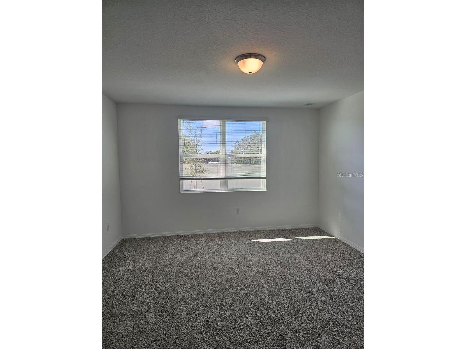 5309 Maddie Drive Haines City FL 33844 S5150533 image9