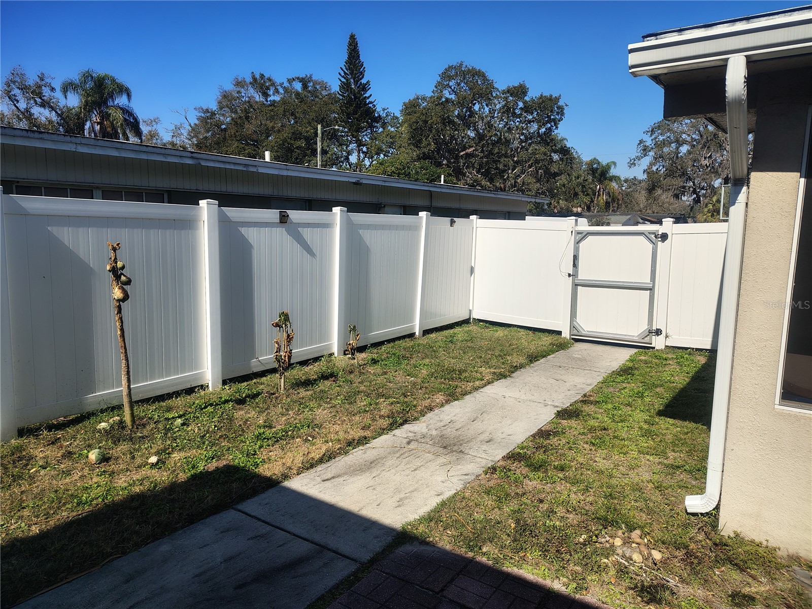 5309 Nancy Street Tampa FL 33617 TB8472438 image43