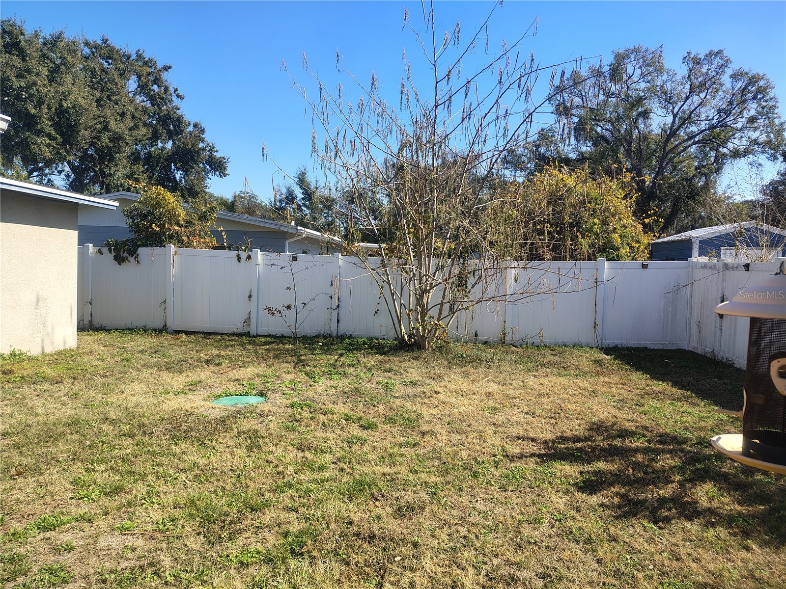 5309 Nancy Street Tampa FL 33617 TB8472438 image44