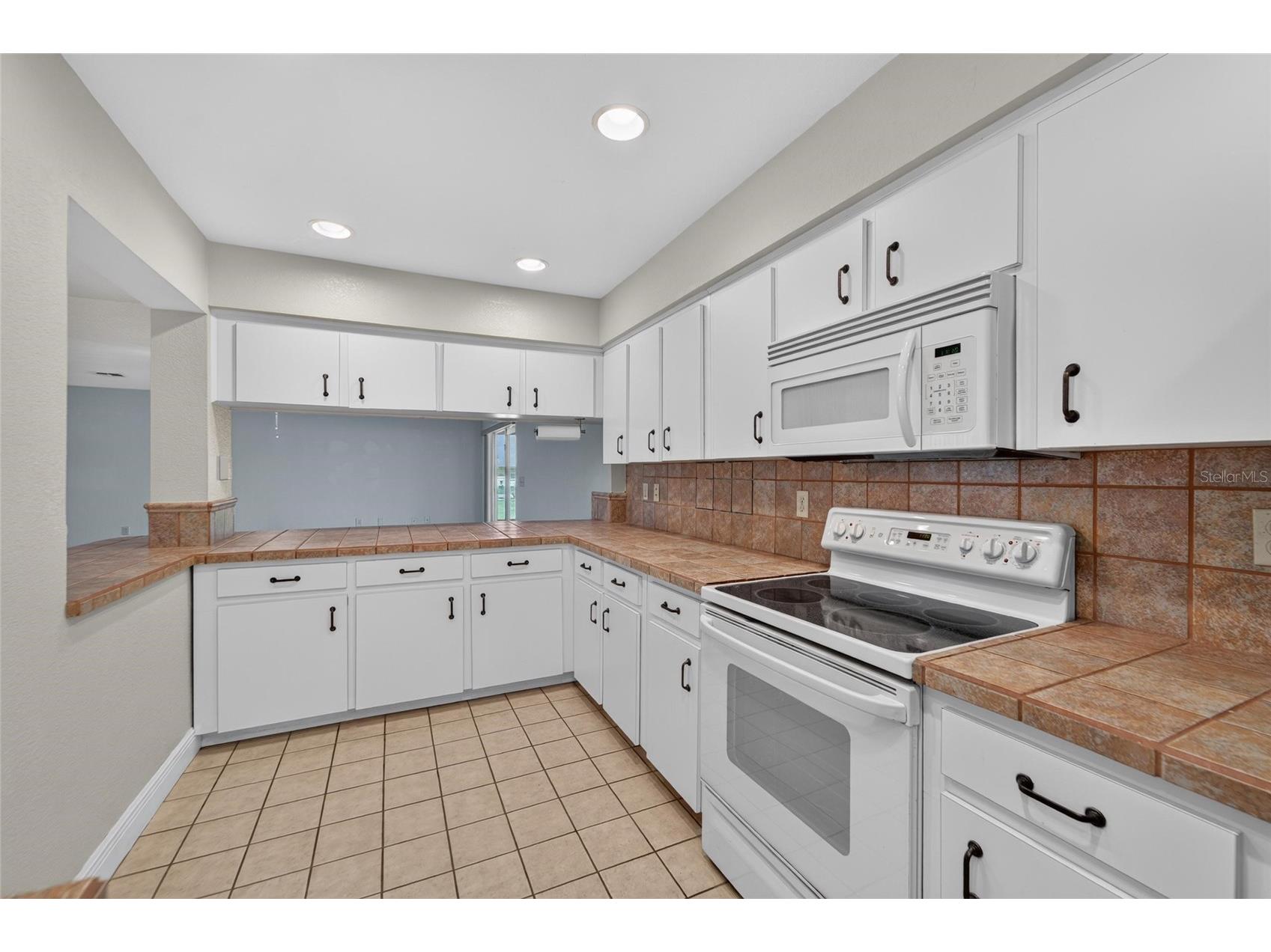 5309 St Lucia Drive Lakeland FL 33812 TB8526032 image41