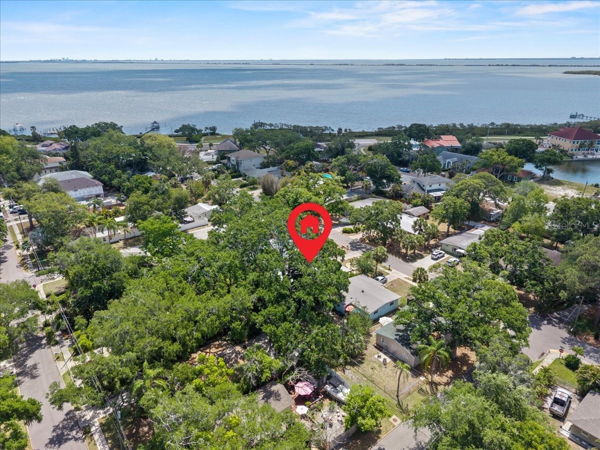 531 6th Street S Safety Harbor FL 34695 TB8498700 image2