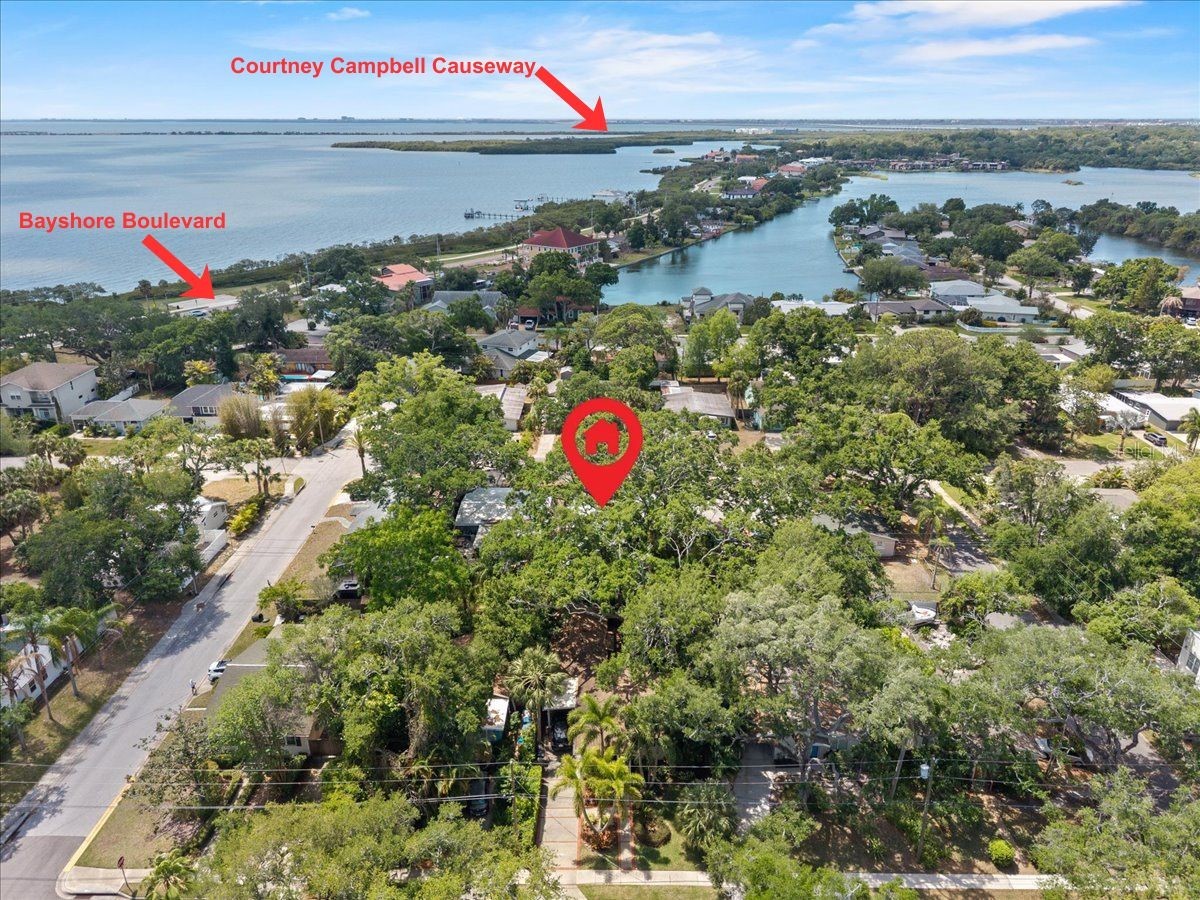 531 6th Street S Safety Harbor FL 34695 TB8498700 image27