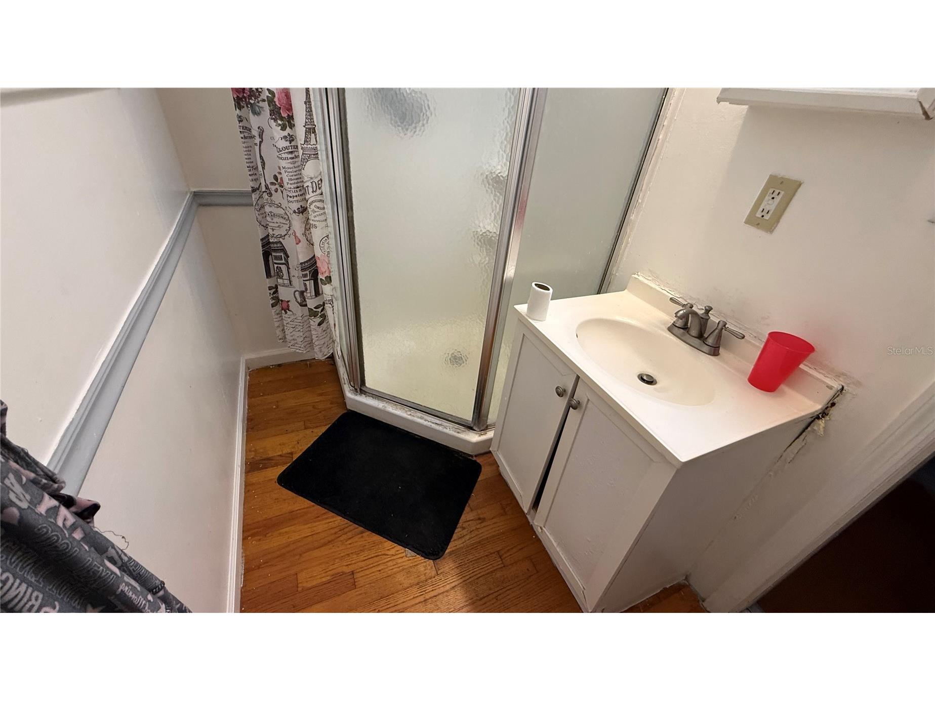 531 Arneson Avenue Auburndale FL 33823 P4938023 image13