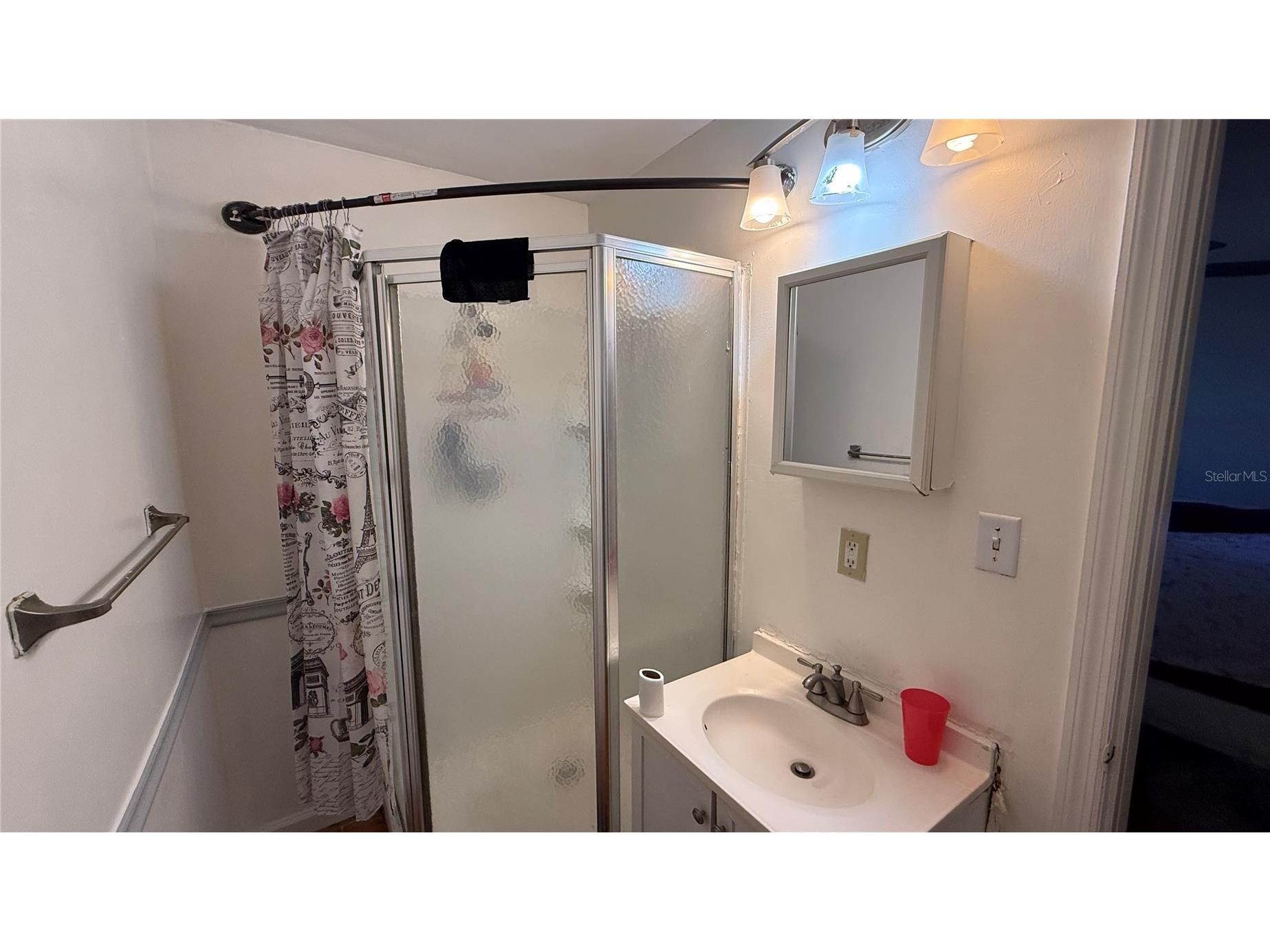 531 Arneson Avenue Auburndale FL 33823 P4938023 image15