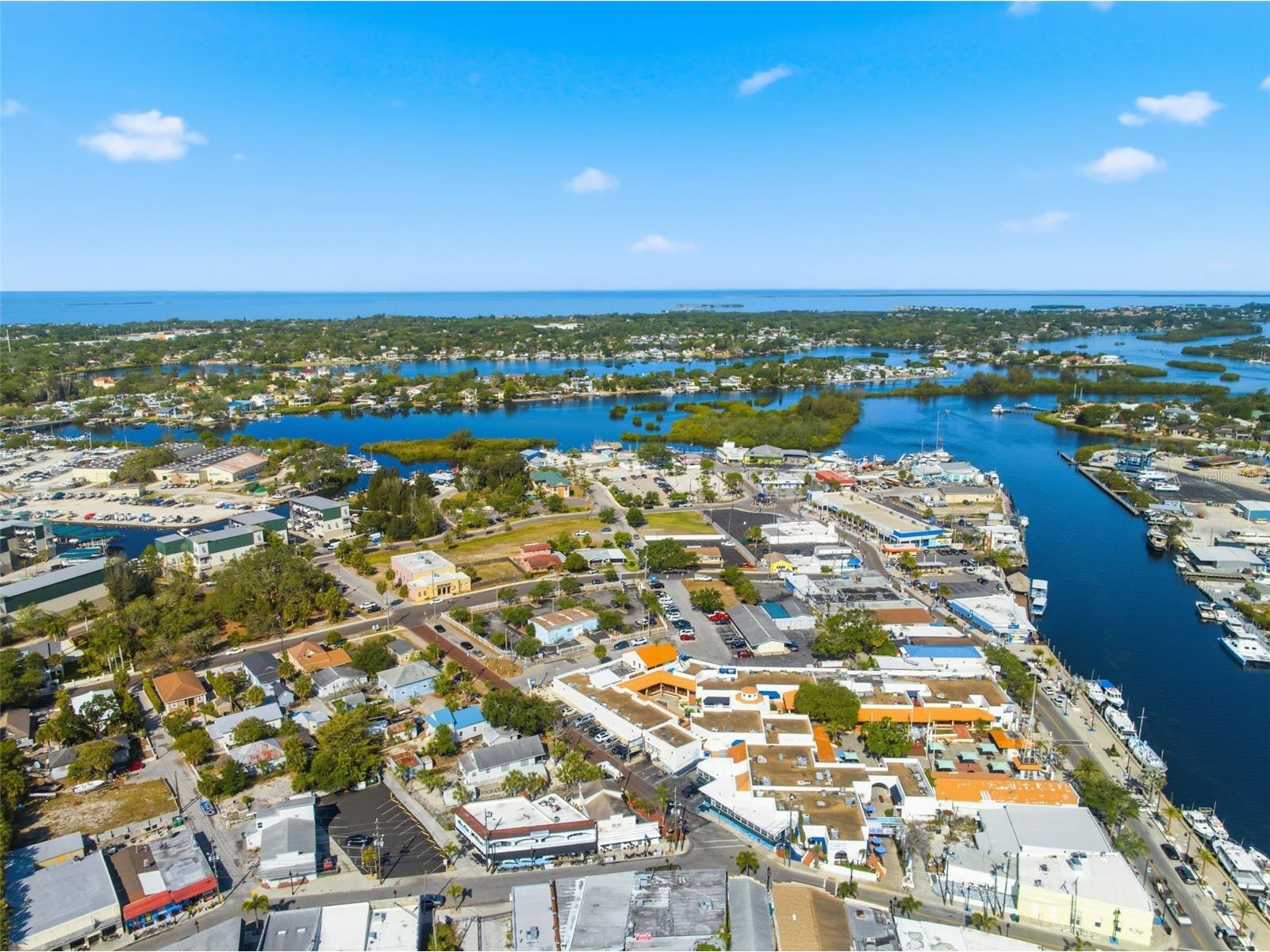 531 Athens Street Tarpon Springs FL 34689 TB8506284 image47