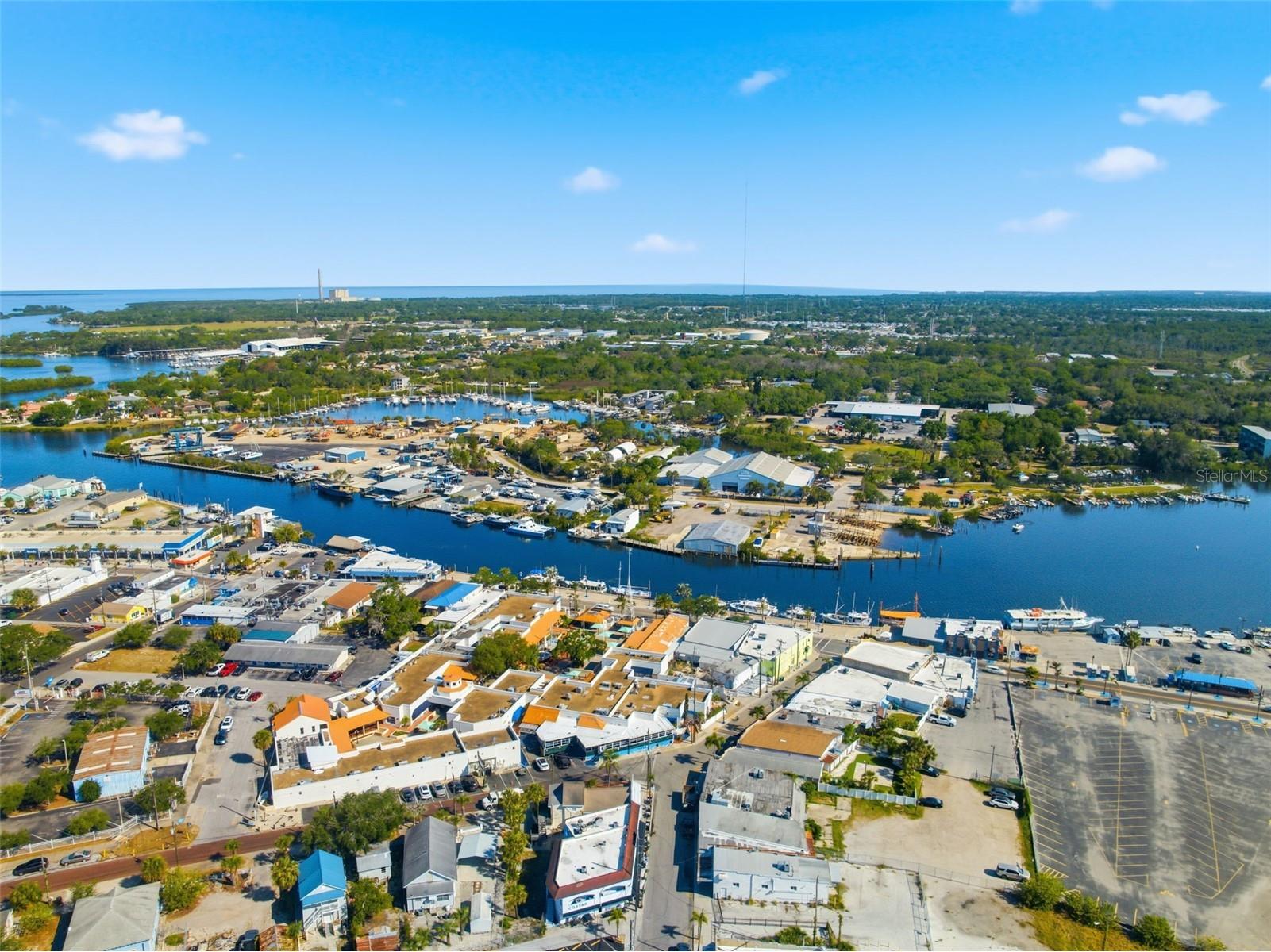 531 Athens Street Tarpon Springs FL 34689 TB8506284 image53