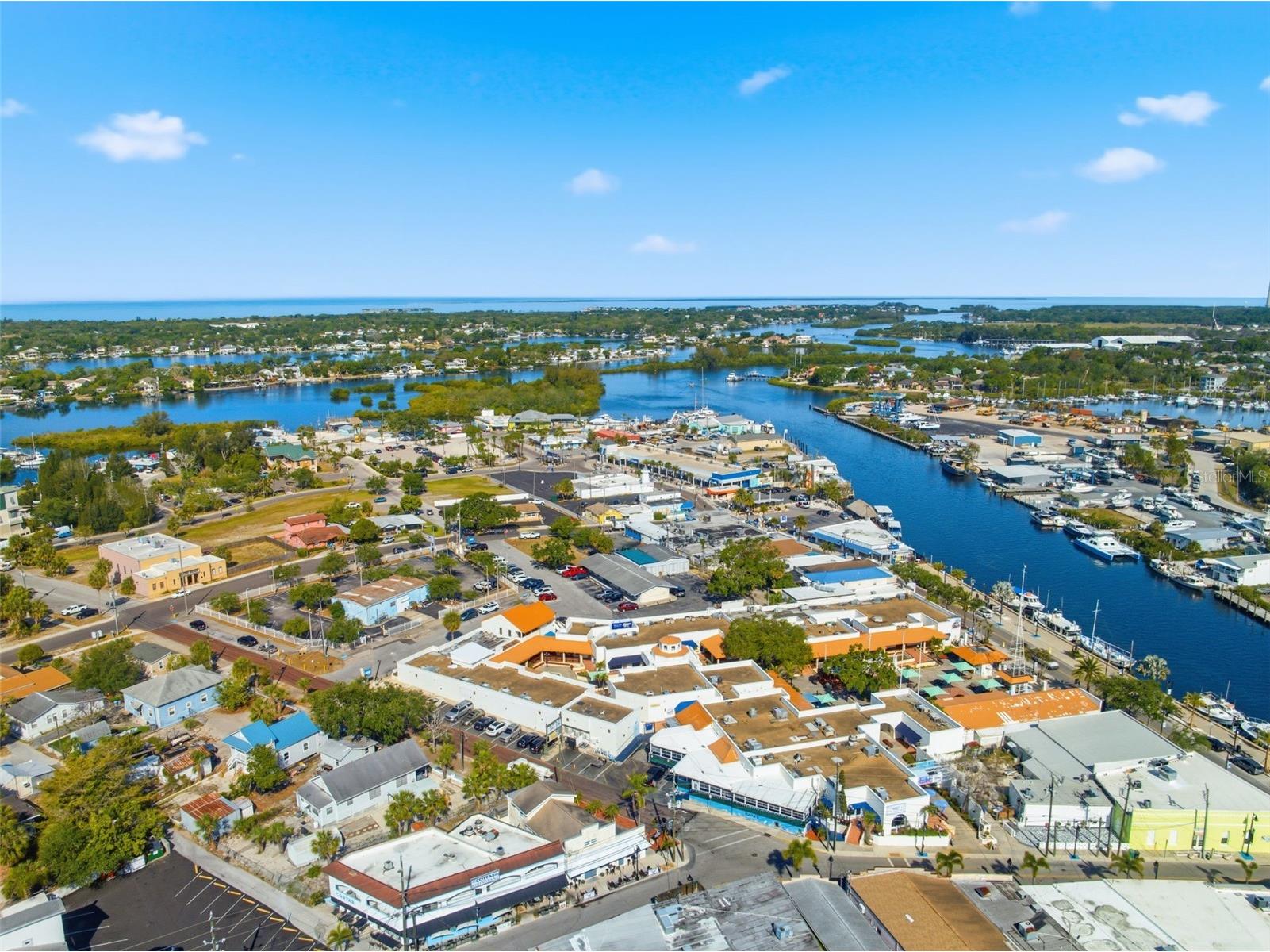 531 Athens Street Tarpon Springs FL 34689 TB8506284 image54
