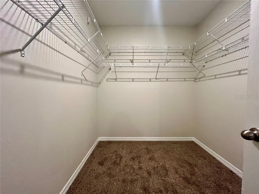 531 Auburn Grove Terrace Auburndale FL 33823 TB8436720 image16