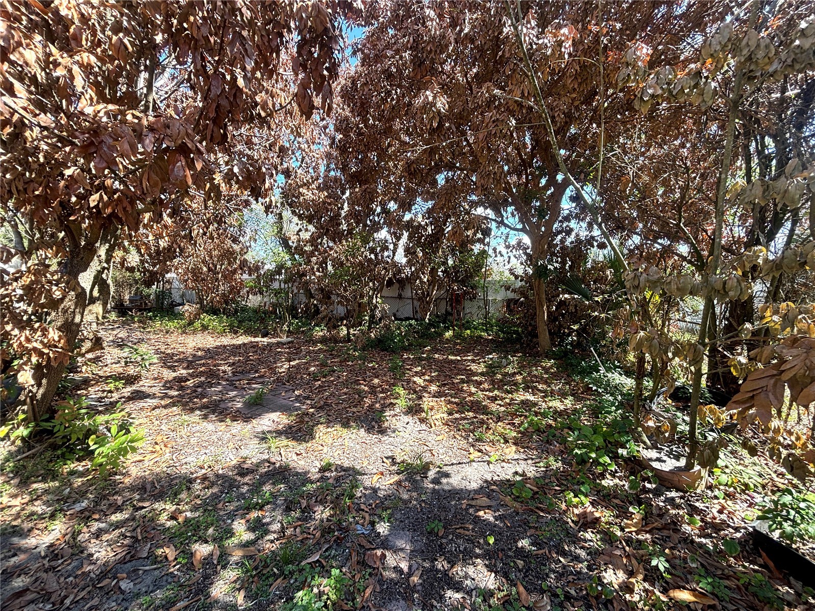 531 Carlisle Avenue Altamonte Springs FL 32714 O6389064 image17