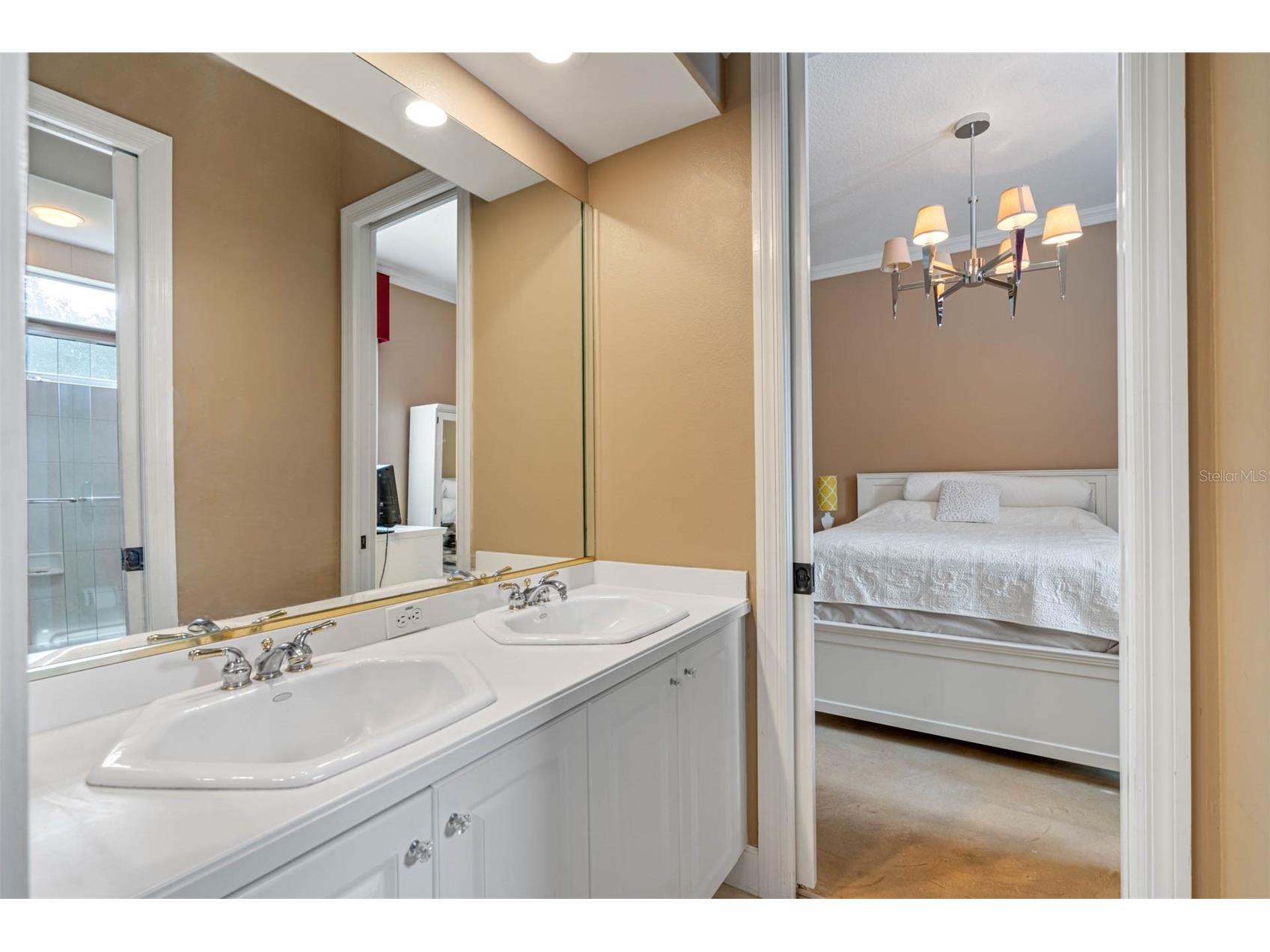 531 Isleworth Close Tarpon Springs FL 34688 TB8471466 image28