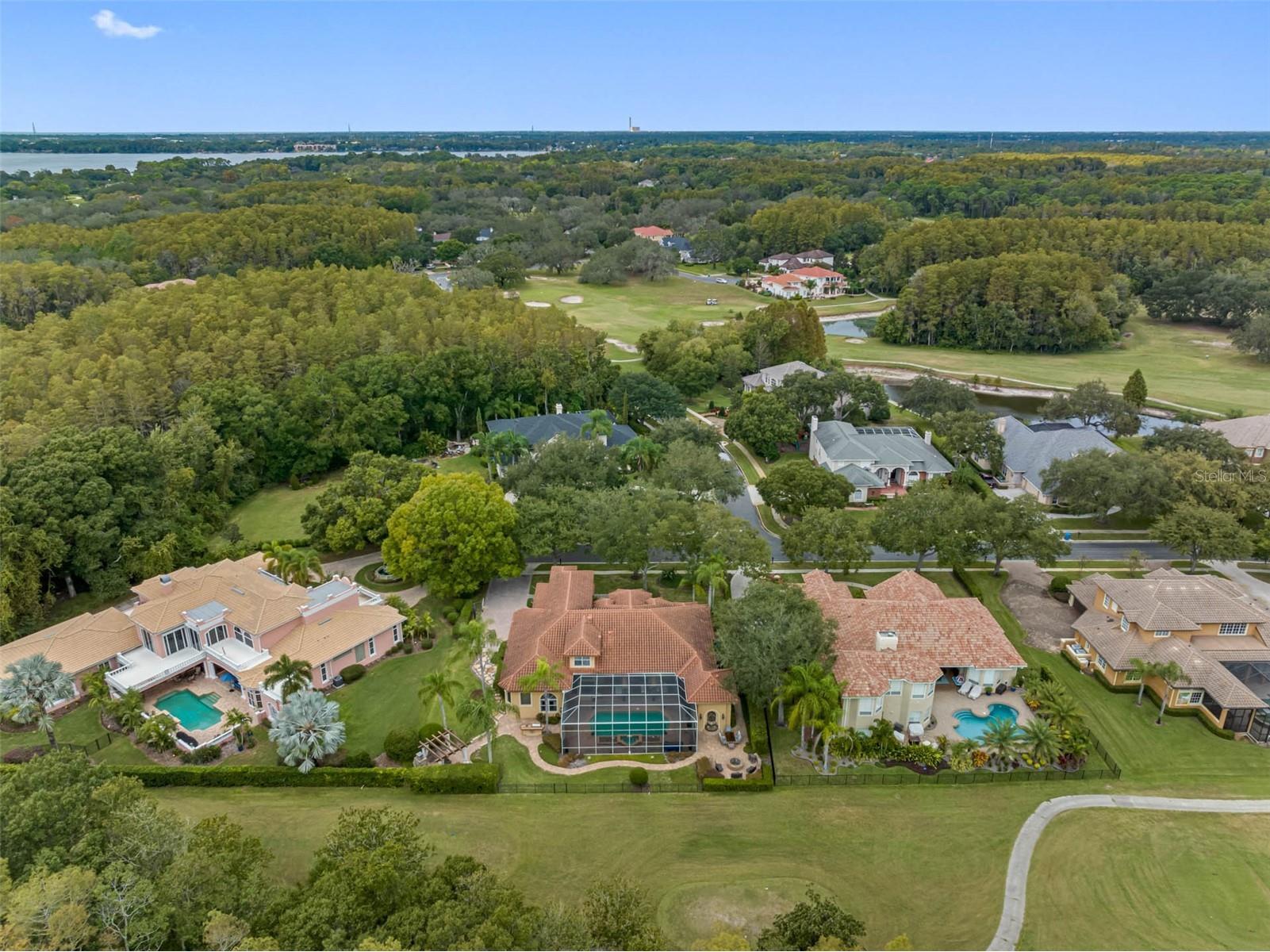 531 Isleworth Close Tarpon Springs FL 34688 TB8471466 image6