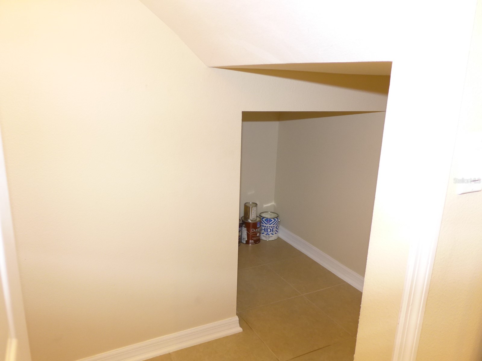 531 Juniper Springs Drive Groveland FL 34736 G5103846 image28