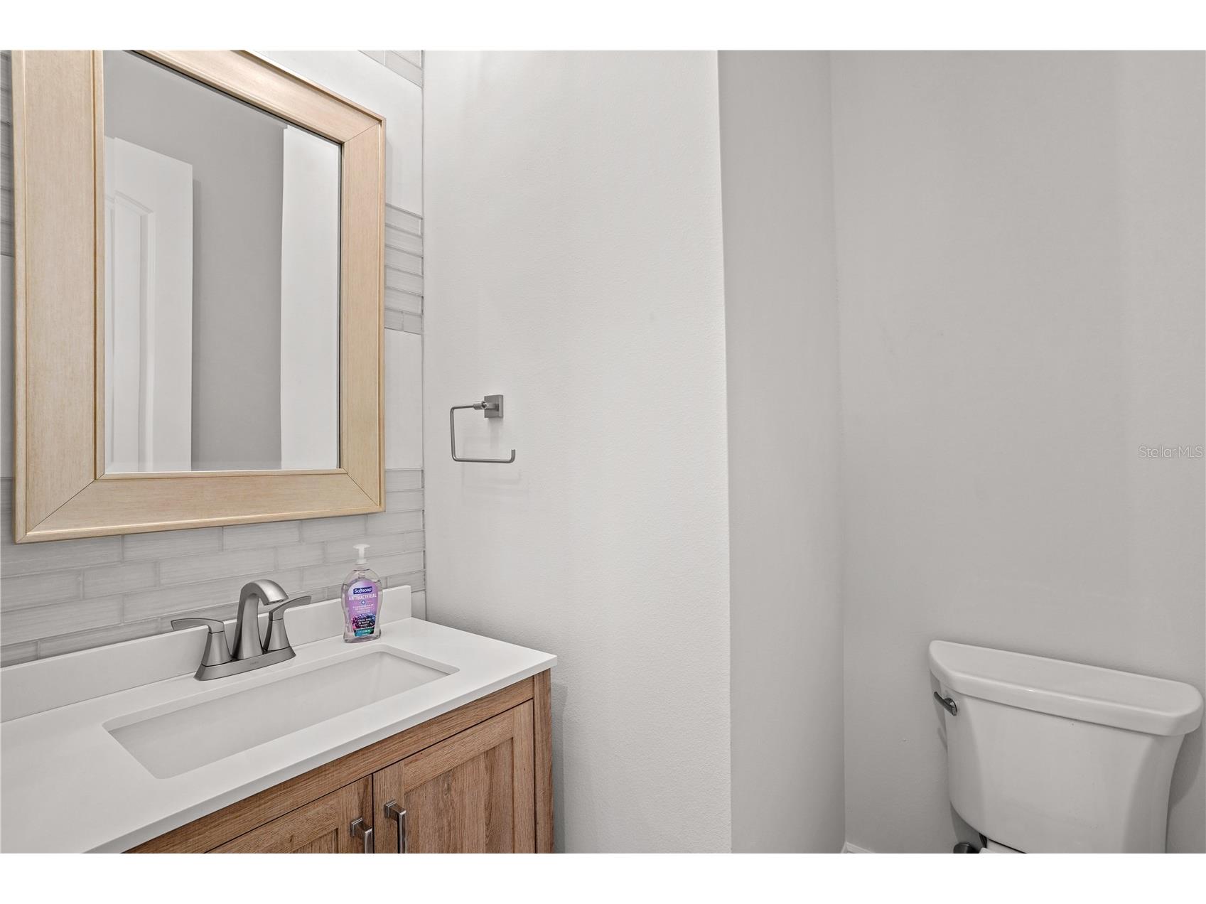 531 Sanctuary Golf Place Apopka FL 32712 O6373532 image19