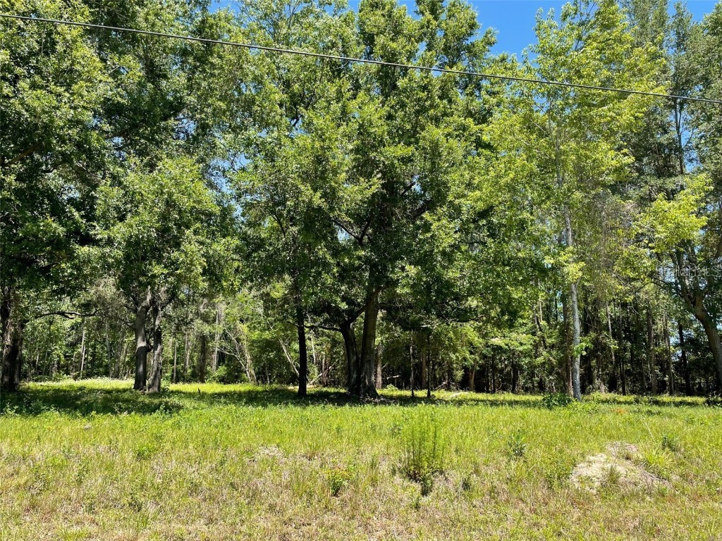 531 SW Sunview Street Fort White FL 32038 GC512977 image1