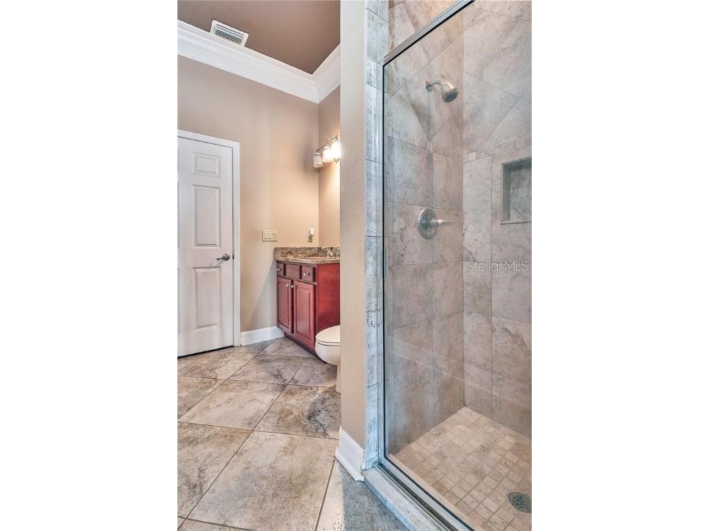 531 Treviso Drive Apollo Beach FL 33572 TB8434116 image20