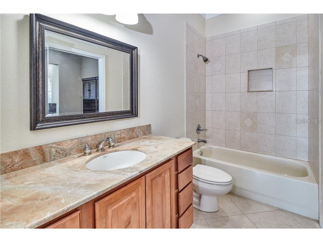 531 Treviso Drive Apollo Beach FL 33572 TB8434116 image33