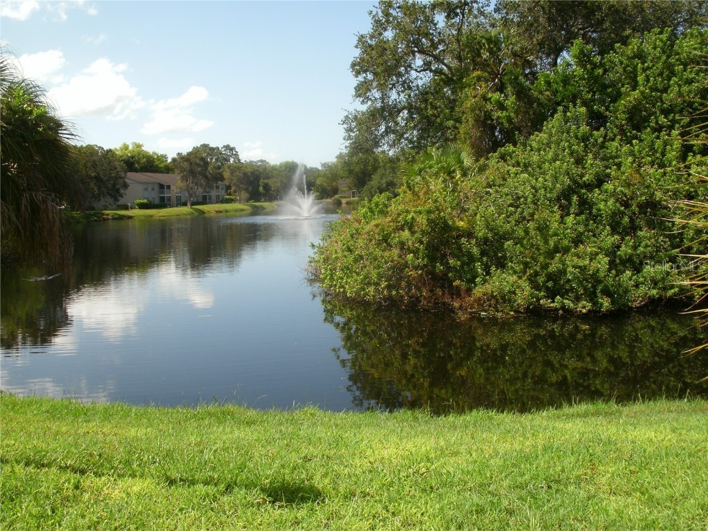 5310 26th Street W #1105 Bradenton FL 34207 A4673540 image13