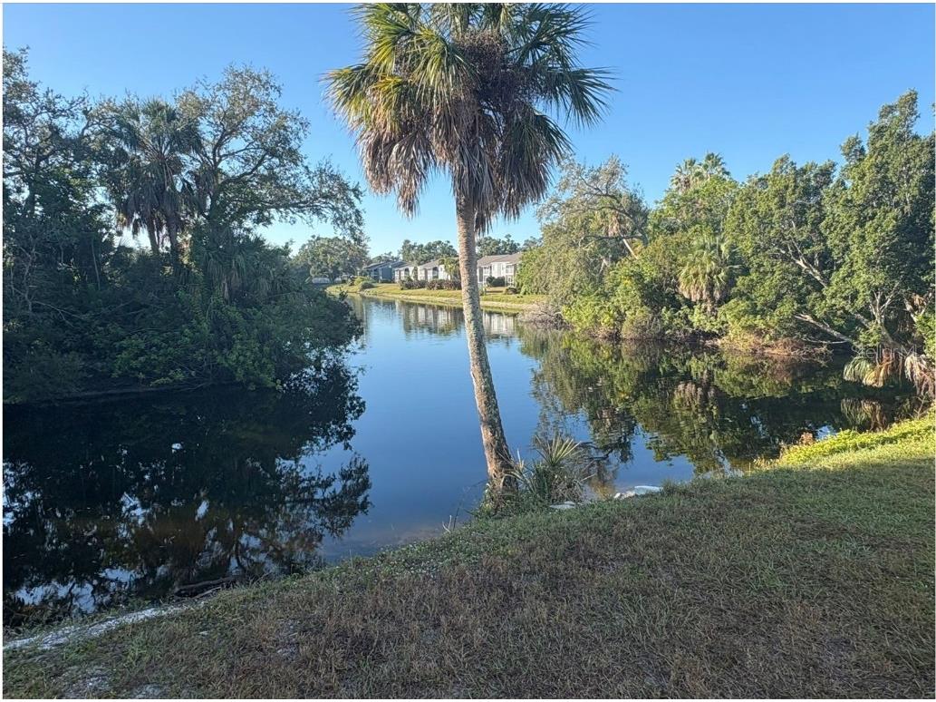 5310 26th Street W #2302 Bradenton FL 34207 A4672318 image19