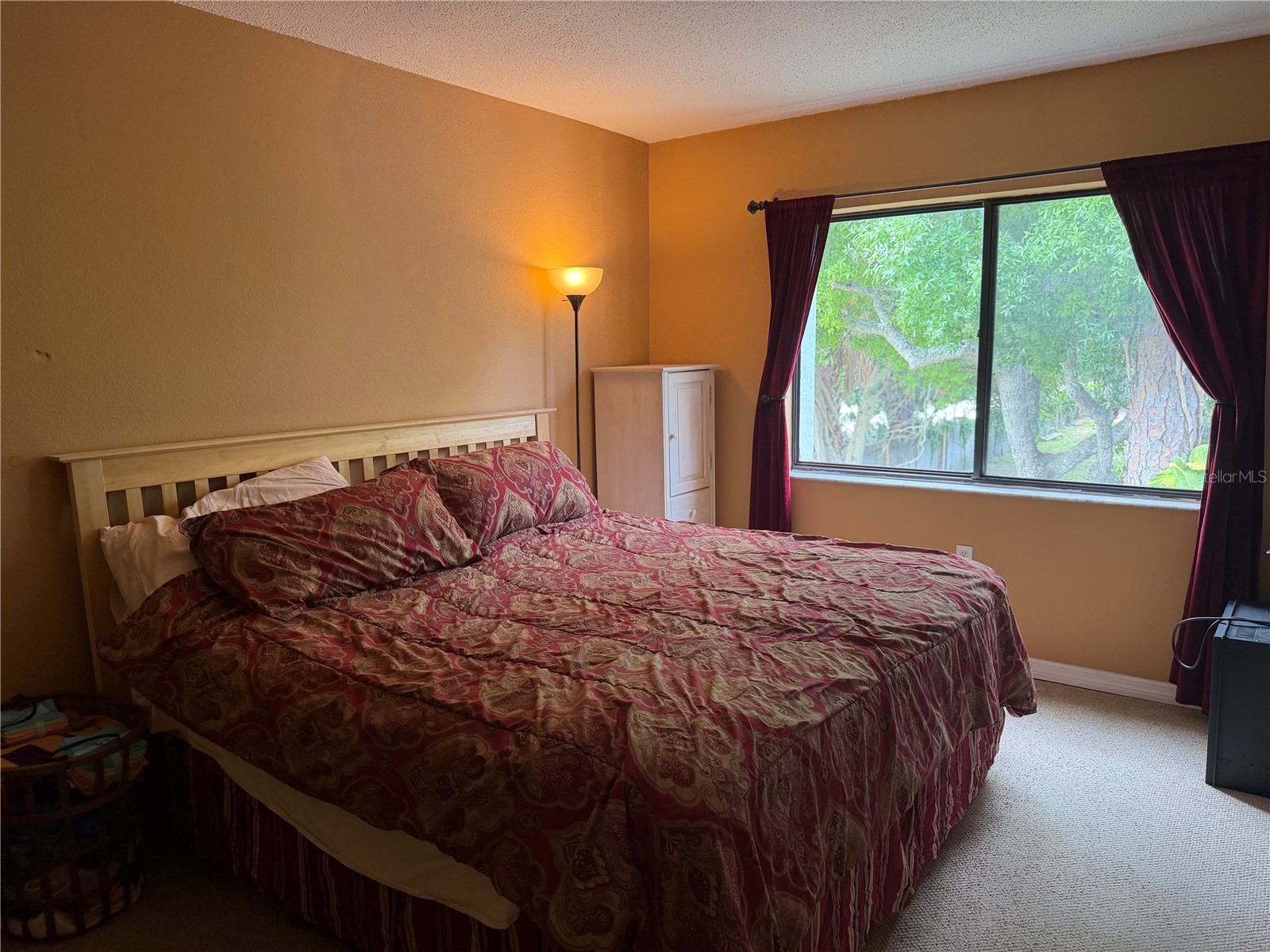 5310 26th Street W #2904 Bradenton FL 34207 A4697564 image12