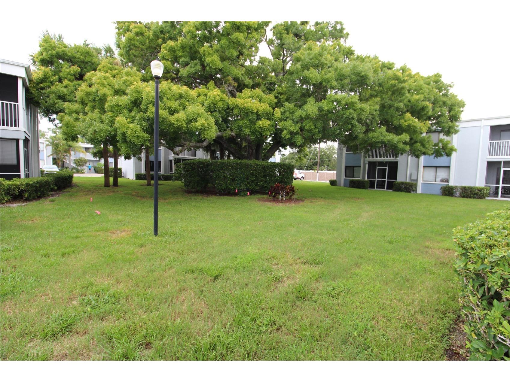 5310 26th Street W #405 Bradenton FL 34207 A4688121 image19