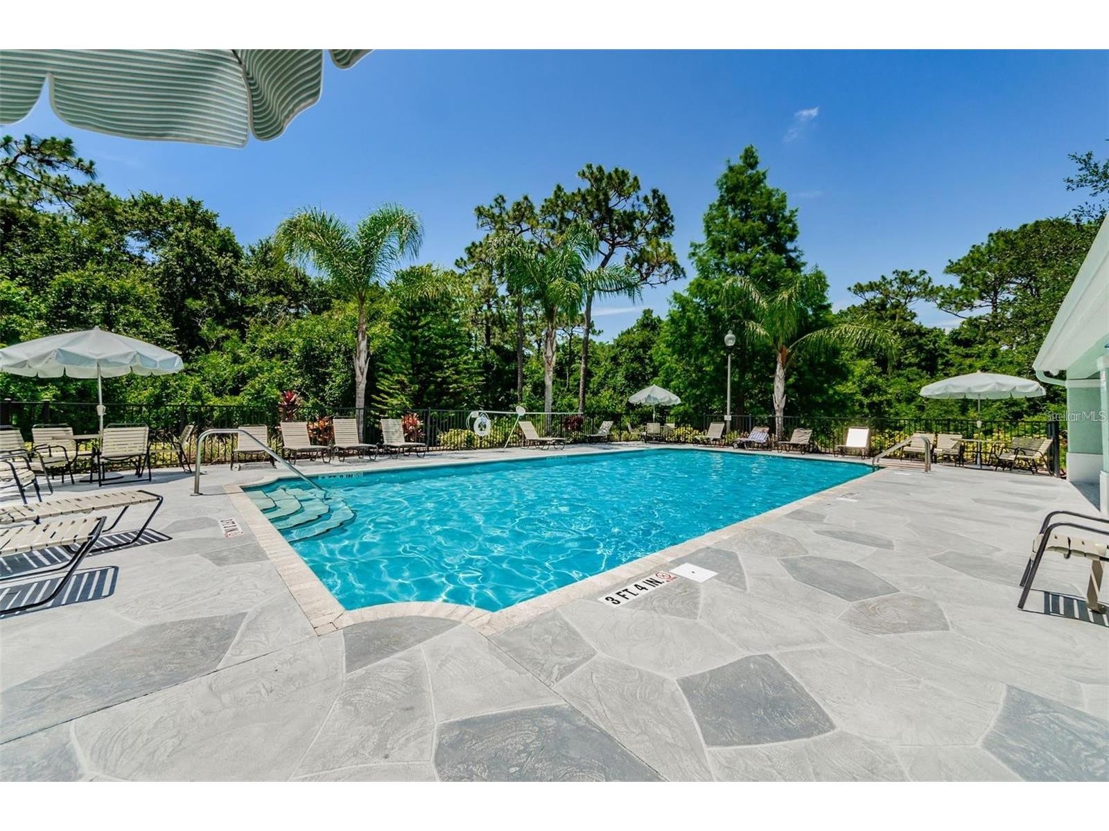 5310 Anhinga Trail New Port Richey FL 34653 TB8511472 image24