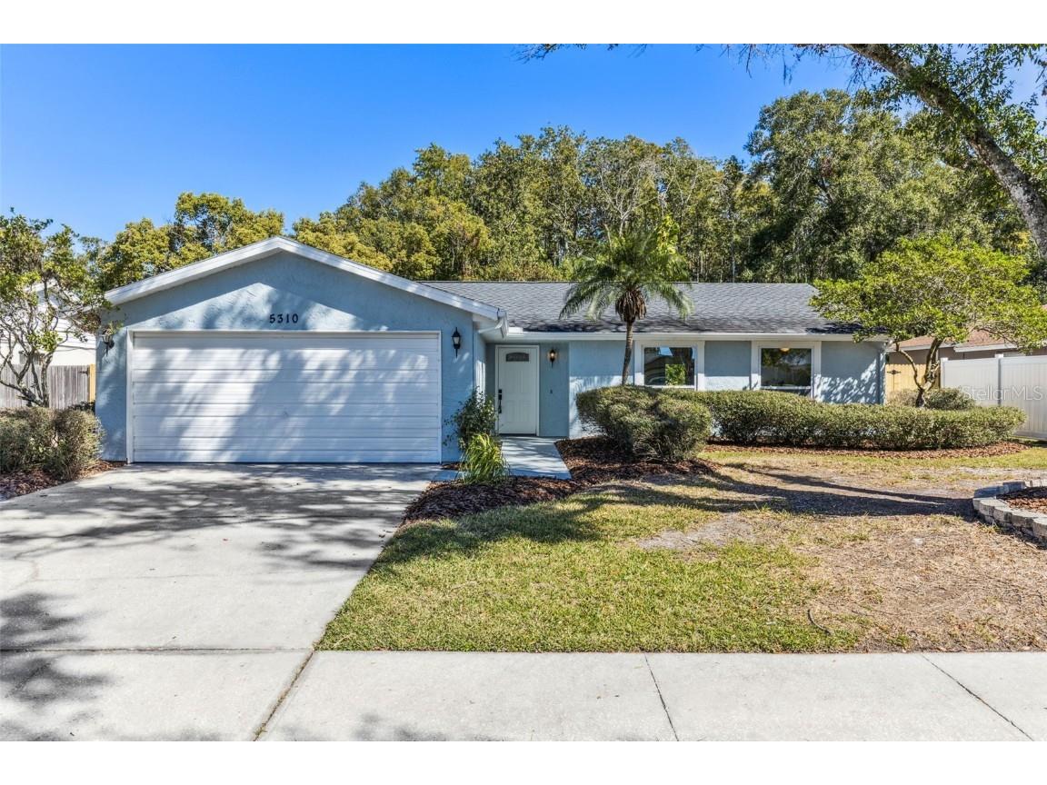 5310 Black Pine Drive Tampa FL 33624 T3482240 image1
