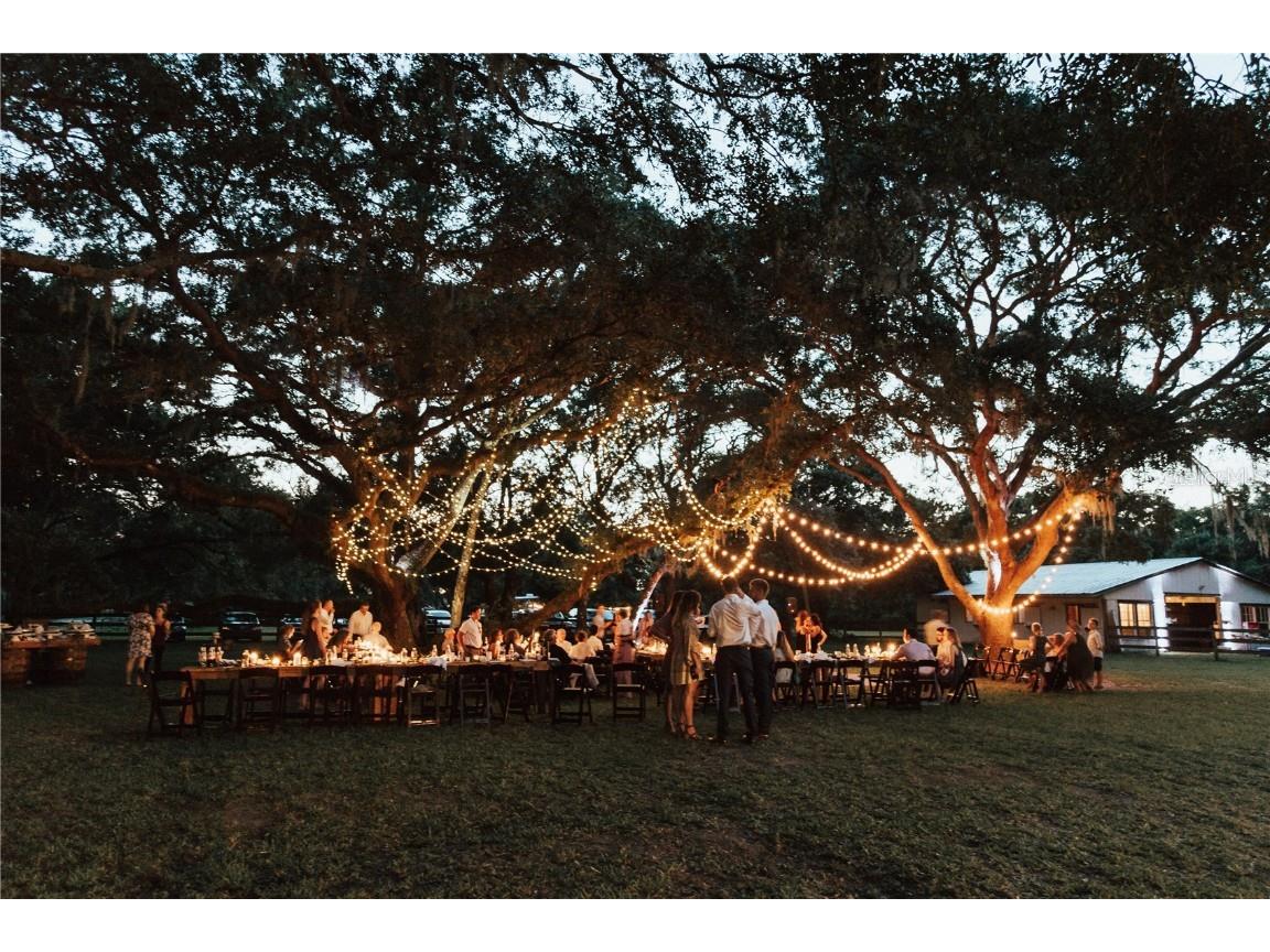 5310 Jim Davis Road Parrish FL 34219 - GAMBLE CREEK A4669394 image63