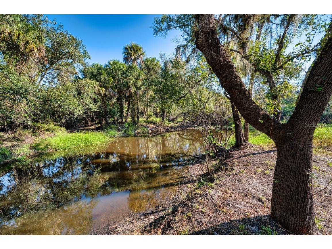 5310 Jim Davis Road Parrish FL 34219 - GAMBLE CREEK A4669394 image74