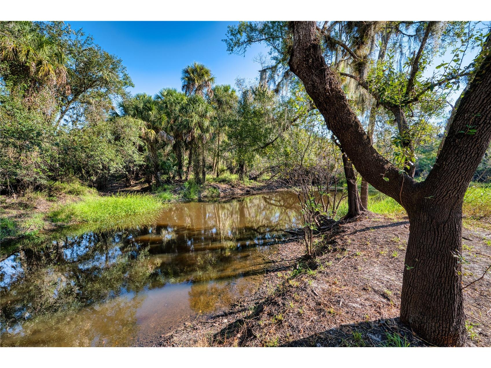 5310 Jim Davis Road Parrish FL 34219 - GAMBLE CREEK TB8521240 image69