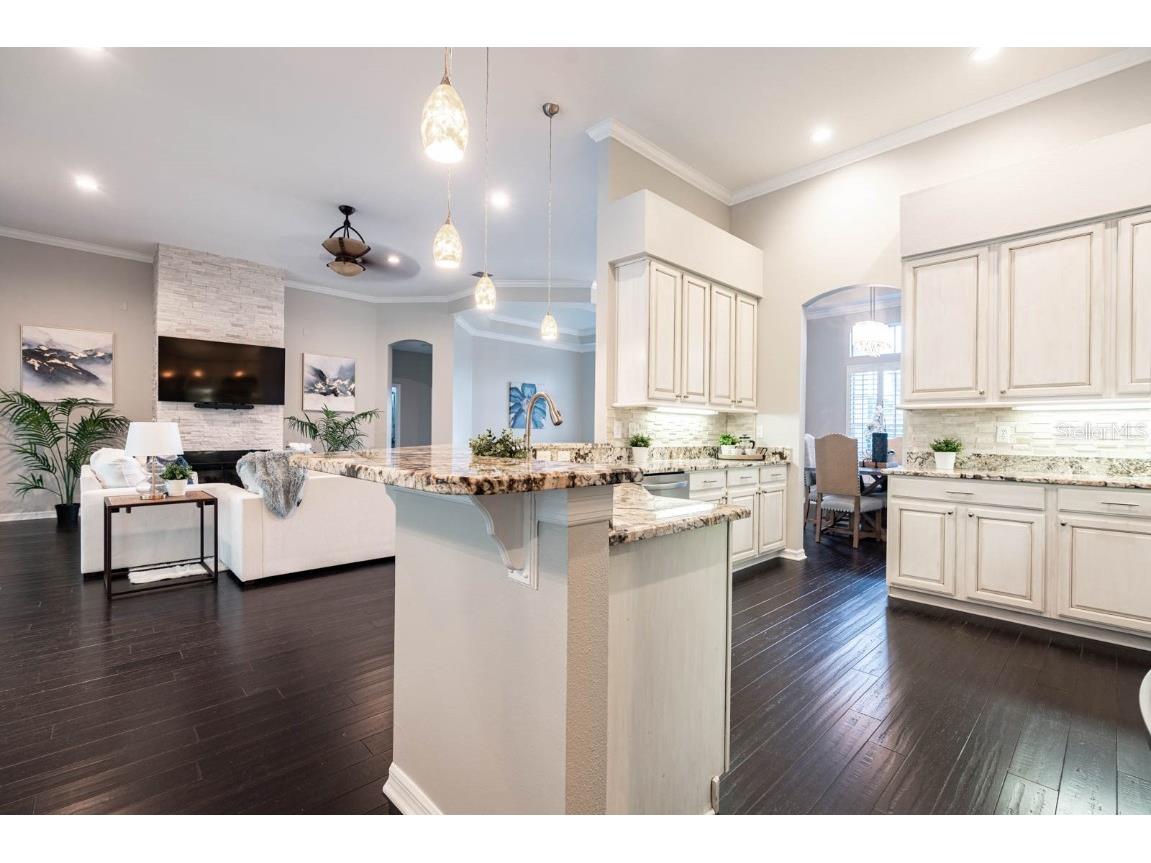 5311 Bay Side Drive Orlando FL 32819 O6365692 image18