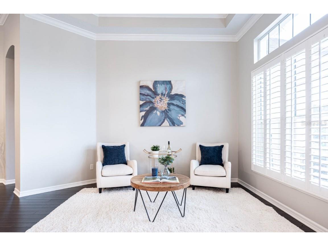 5311 Bay Side Drive Orlando FL 32819 O6365692 image8