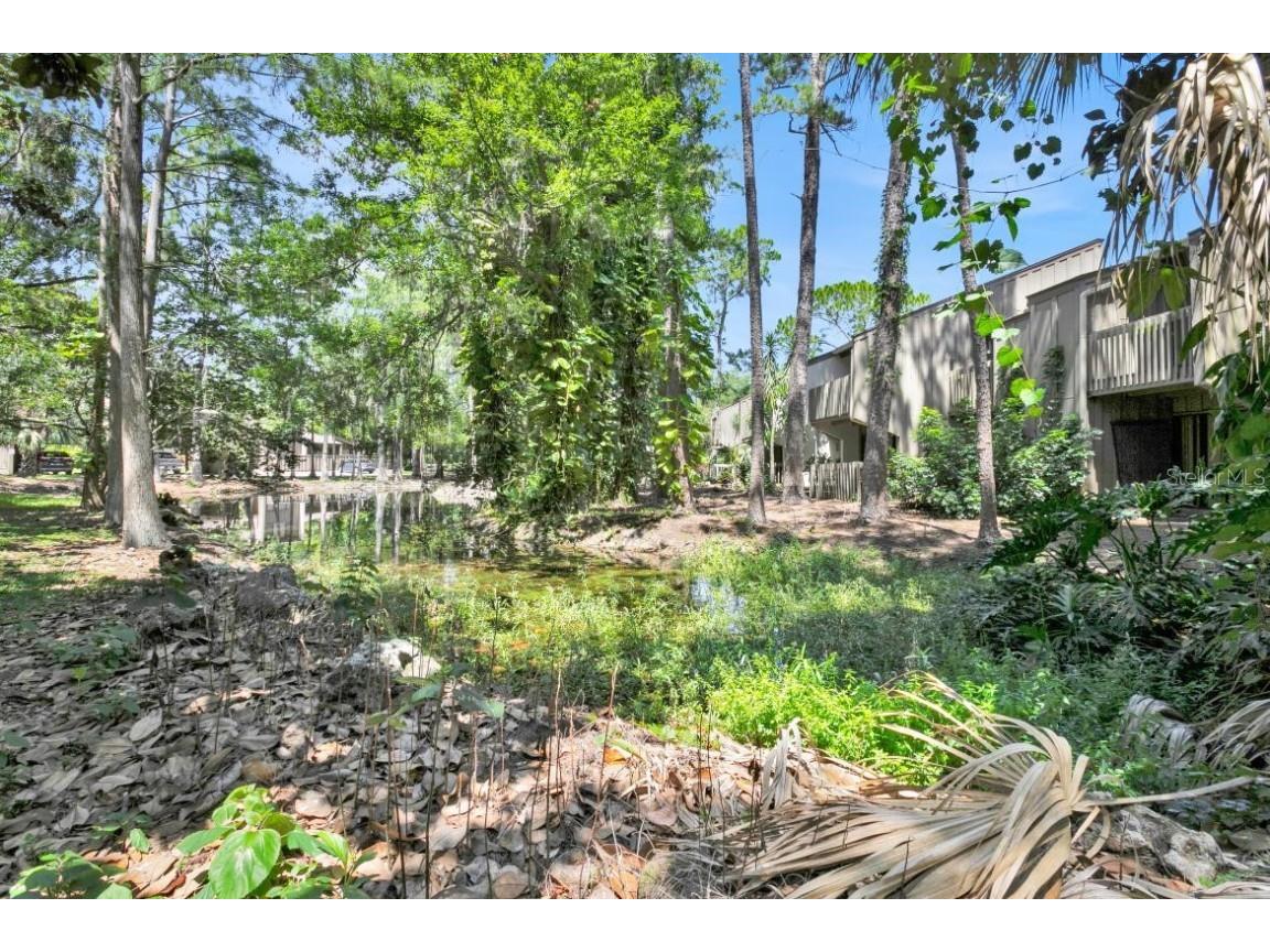 5311 Burning Tree Drive #D Orlando FL 32811 S5120559 image10