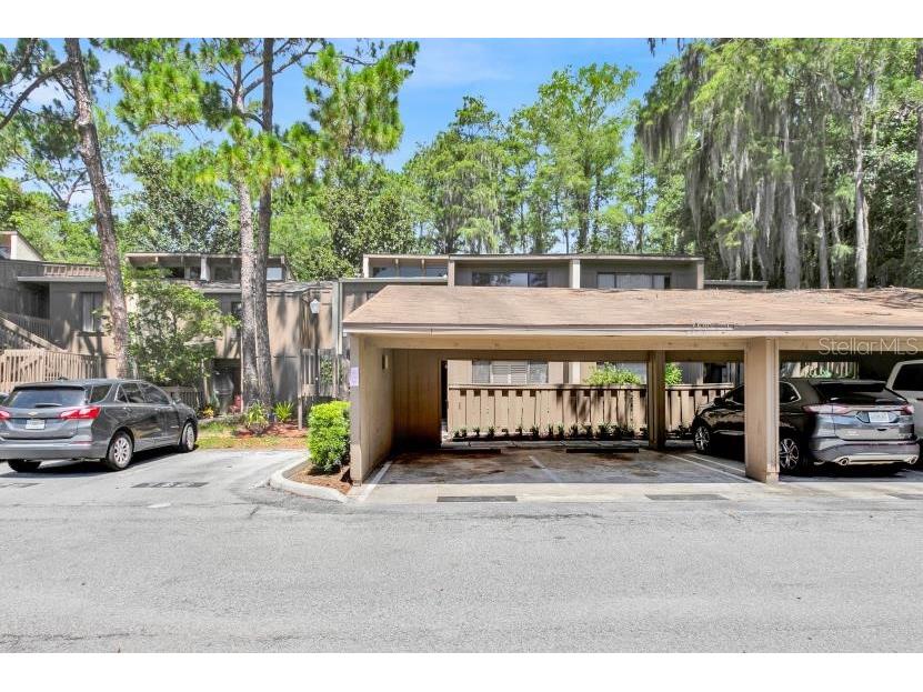 5311 Burning Tree Drive #D Orlando FL 32811 S5120559 image2