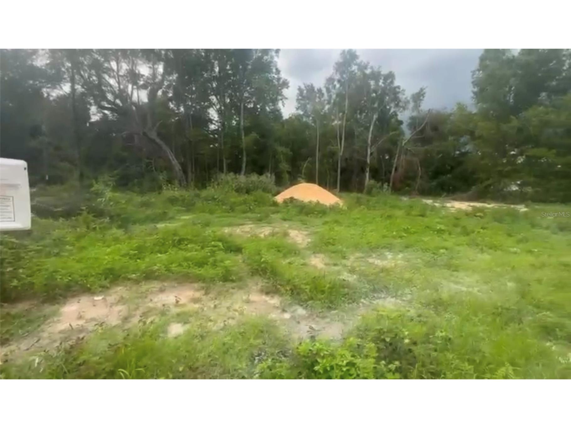 5311 NW 7th Street Ocala FL 34482 O6383079 image3