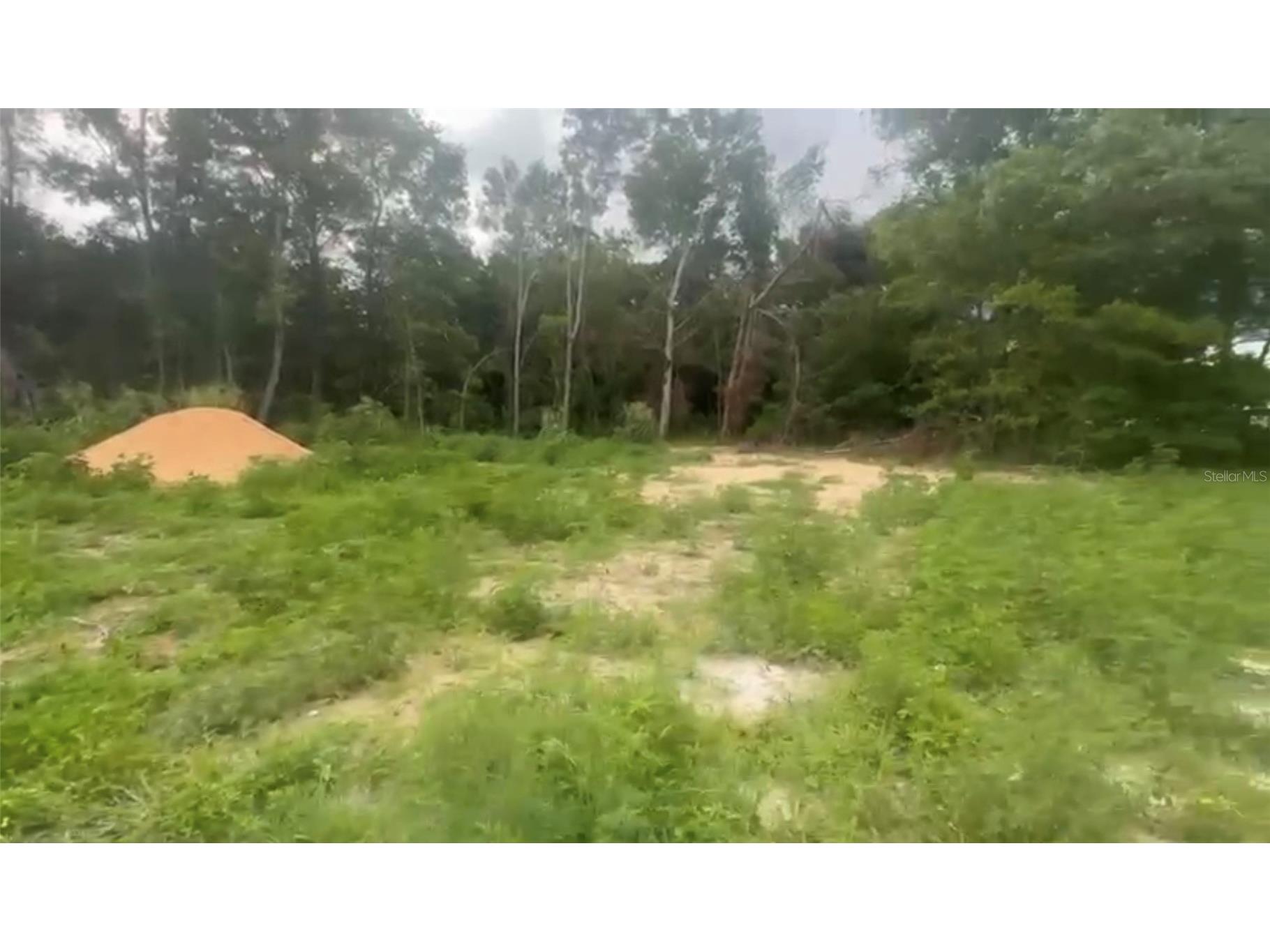 5311 NW 7th Street Ocala FL 34482 O6383079 image5
