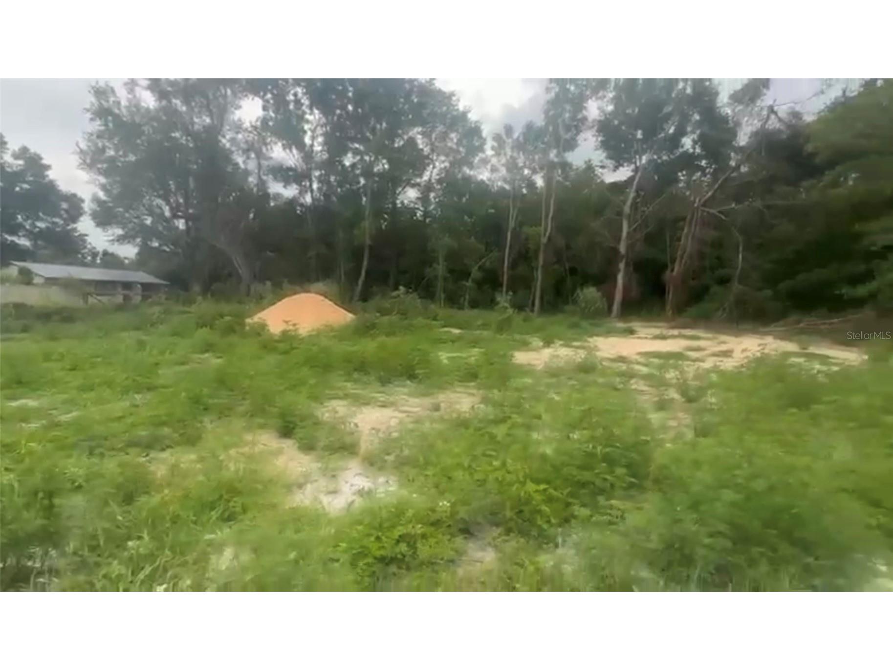 5311 NW 7th Street Ocala FL 34482 O6383079 image6