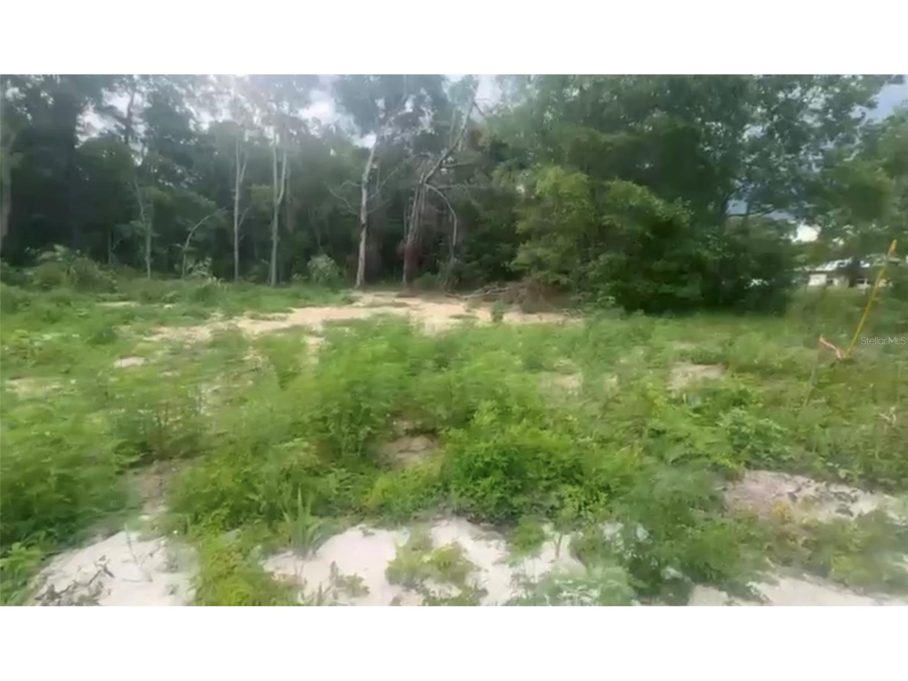 5311 NW 7th Street Ocala FL 34482 O6383079 image7